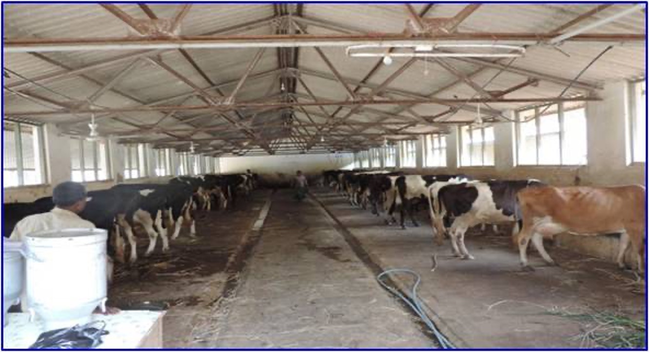 Dairy Science & Technology Division