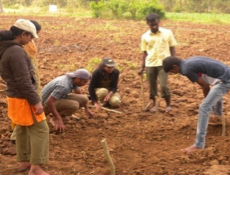 Instructional Farm
